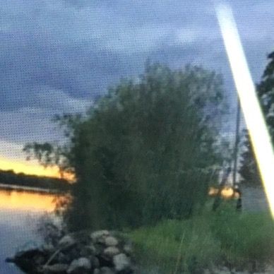 Тгк: молодое сердце