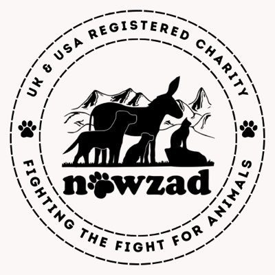 NOWZAD