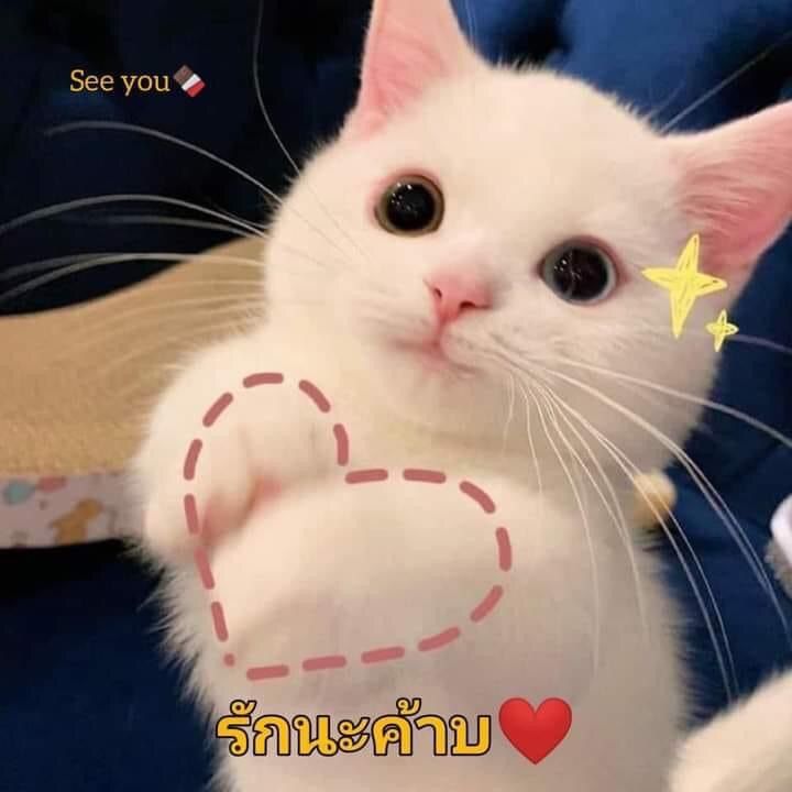 น้องนี17y.