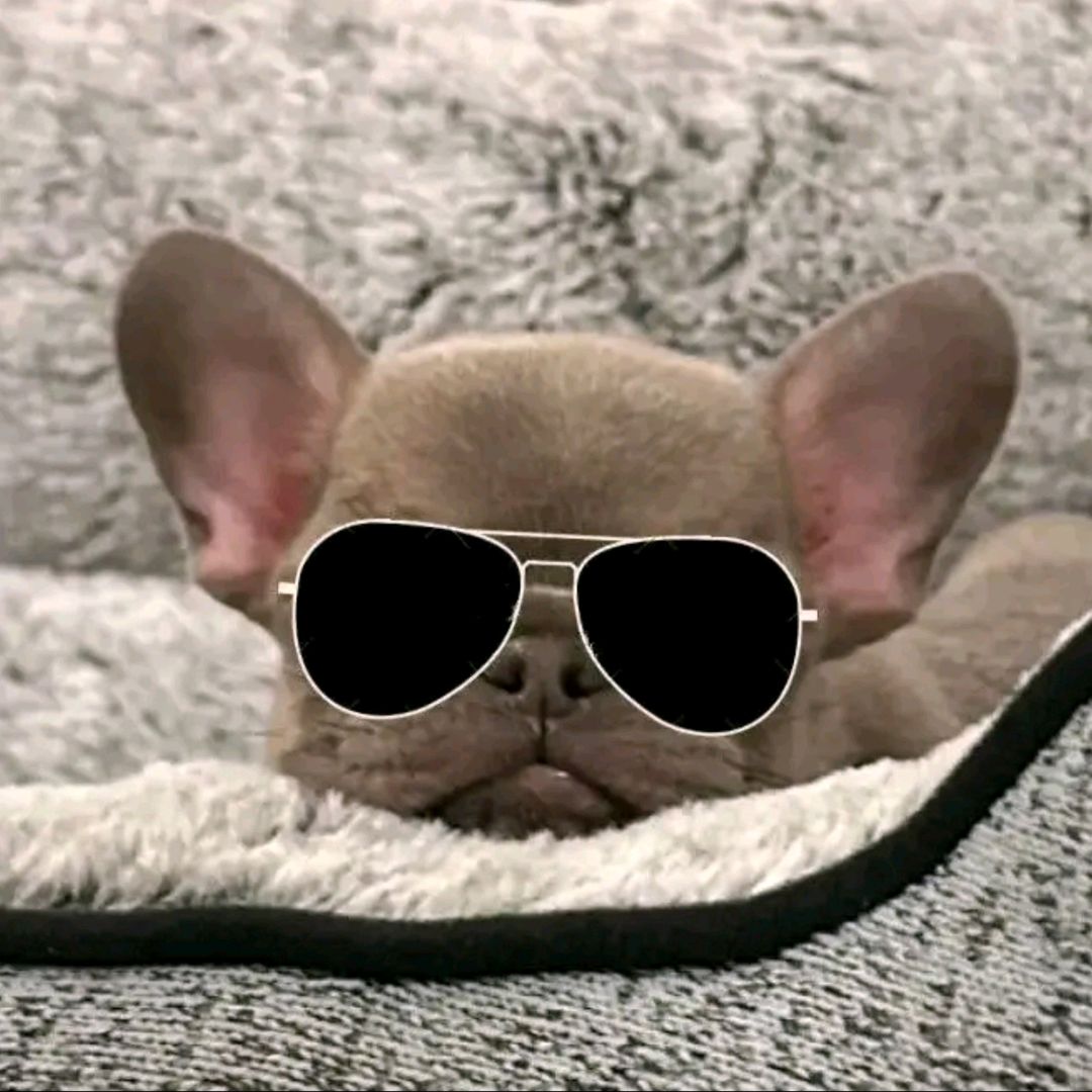Nurfpuppy