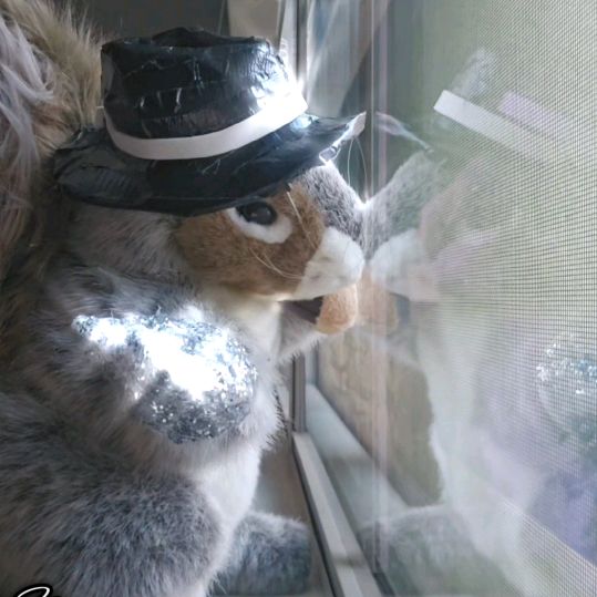 nutzo_lot