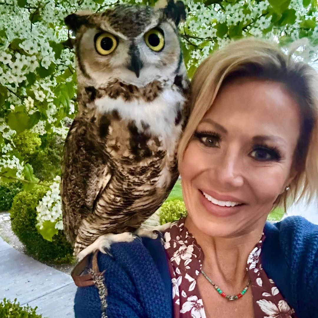 Oakytheowl