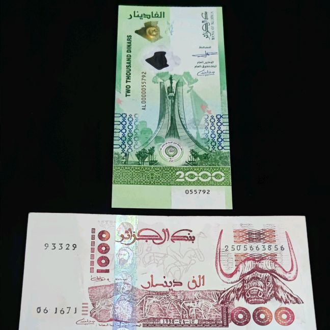 🇩🇿 banknote of World 💚♥️