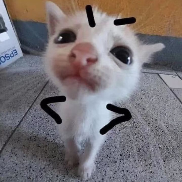 OopsieLoop