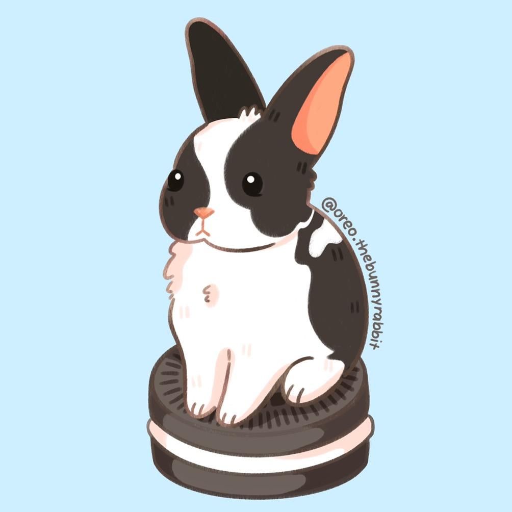 Oreo 🐰
