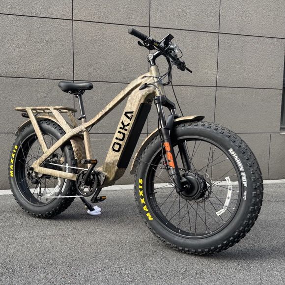 electricbikesupplier