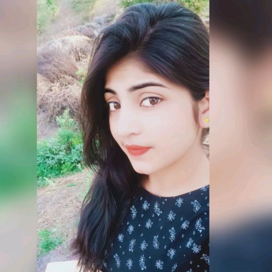 palak mina
