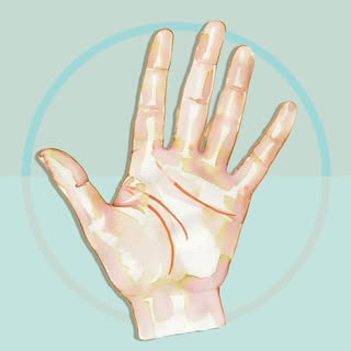 Palm Experts