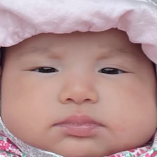 Pamela Hải Đường 🌺