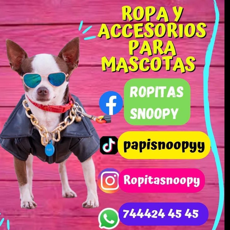 Papi
