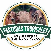 Pasturas Tropicales 🌱🐮