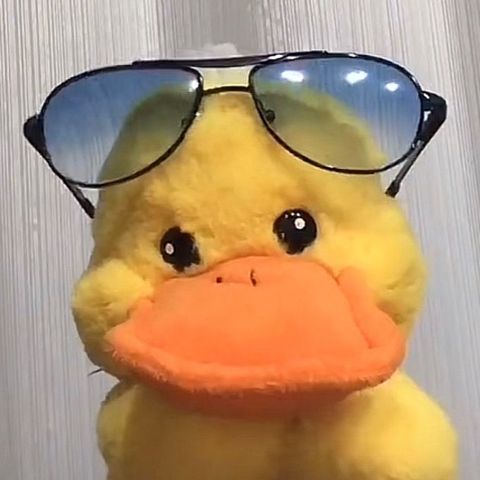 pato sem nome