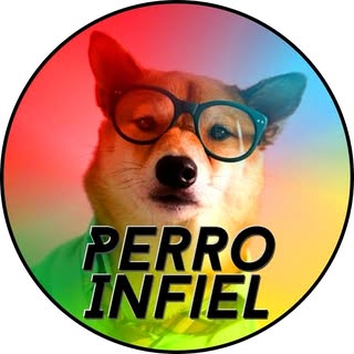 𝗣𝗲𝗿𝗿𝗼 𝗶𝗻𝗳𝗶𝗲𝗹 🐕 |