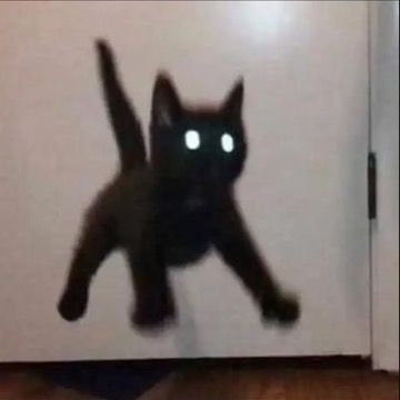 Pet Time 1