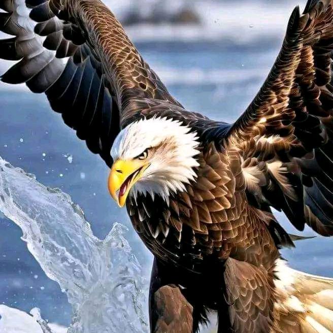 Eagle Of The Philippines