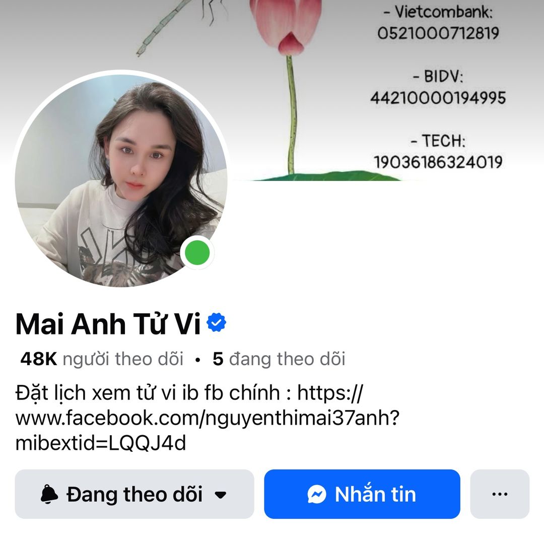 Mai Anh Tử Vi