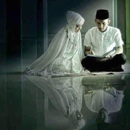 phonix_384