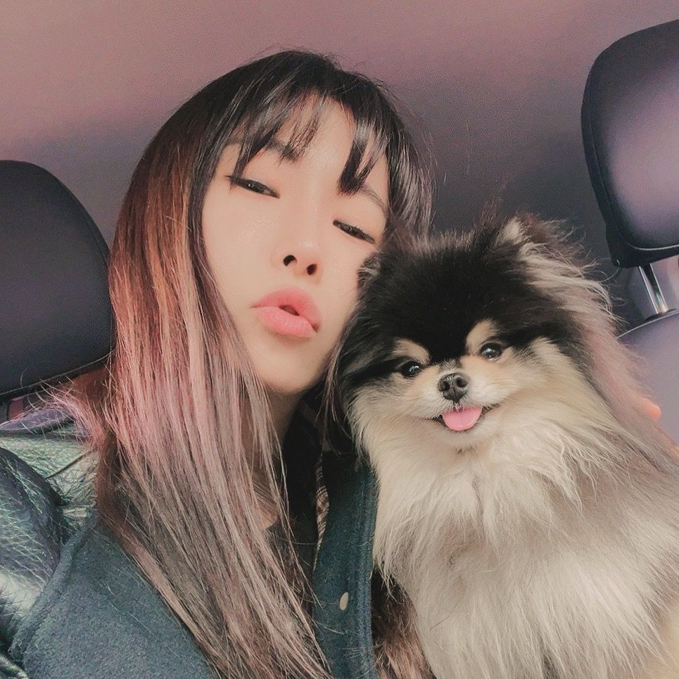 ✨🦄피카_Pika✨