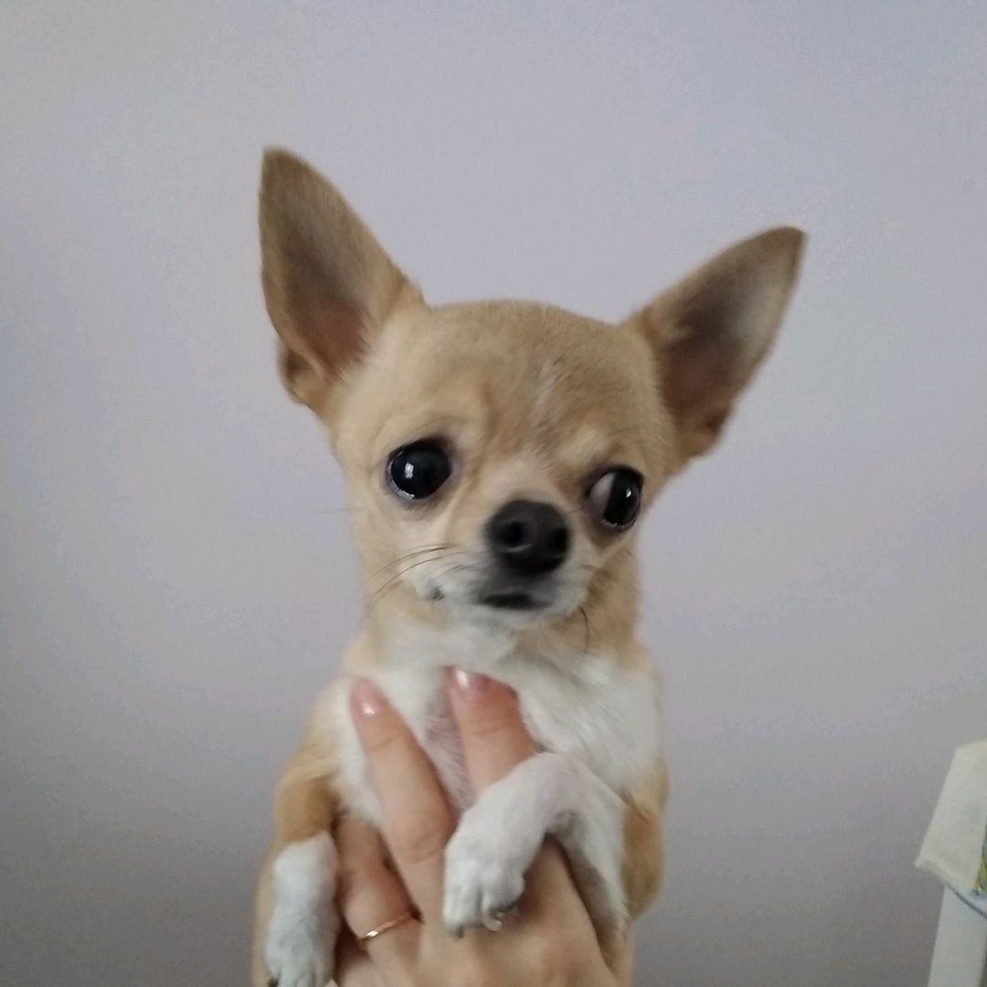piksi💕