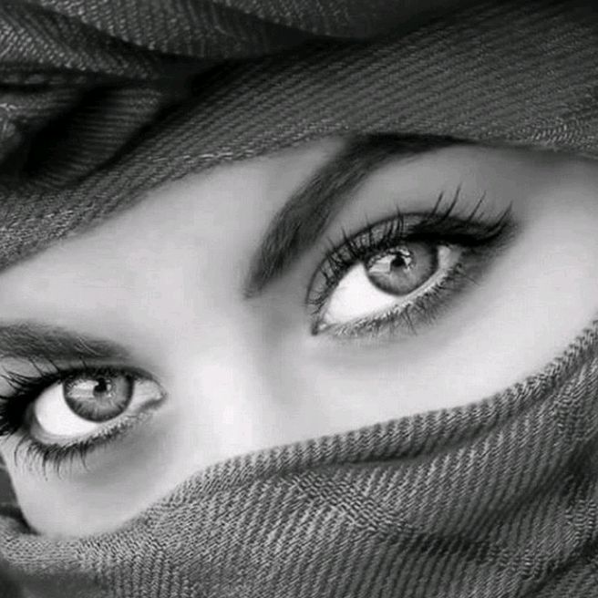 همسات💞 وردية