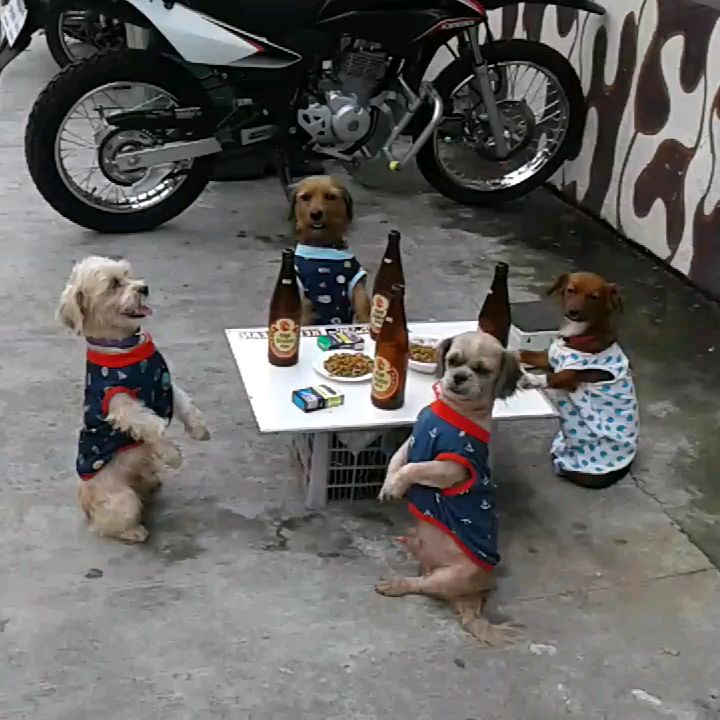 Amazing Popoy & Popay