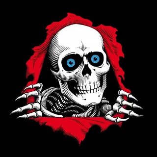 Powell-Peralta Skateboards