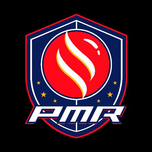 Premier Marble Racing