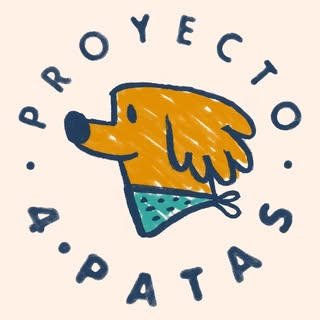 Proyecto 4 Patas