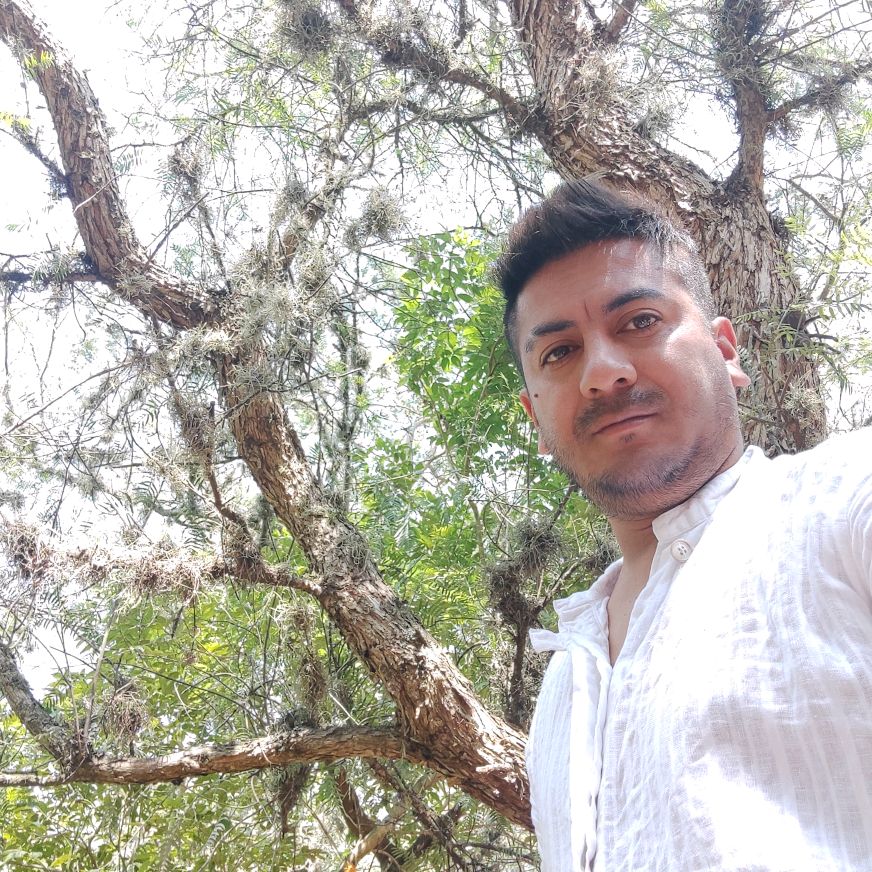 Jose Luis R