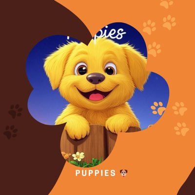 Puppies 🐶
