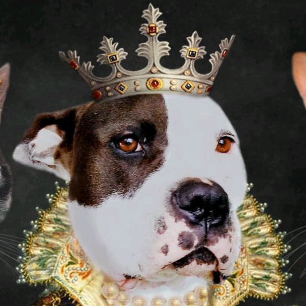 Púrpura la Bully & Djanga 🍼