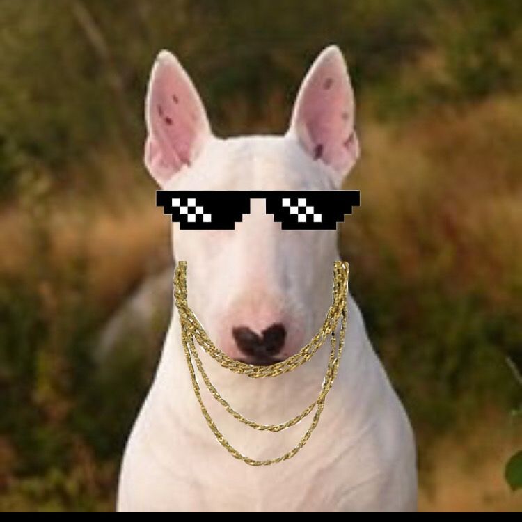 Walter