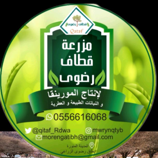 مزرعة قطاف رضوى العضويه