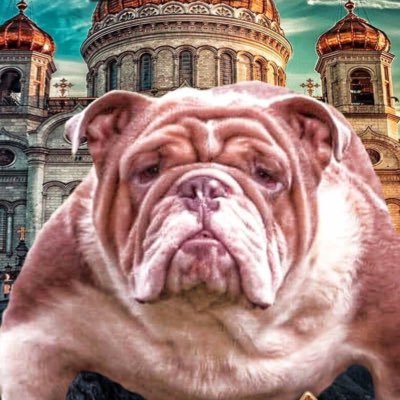 BullsRus