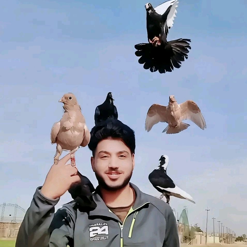 رحيم الدراجي🕊️