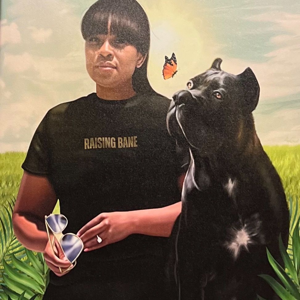 Bane | Your Favorite Nephew