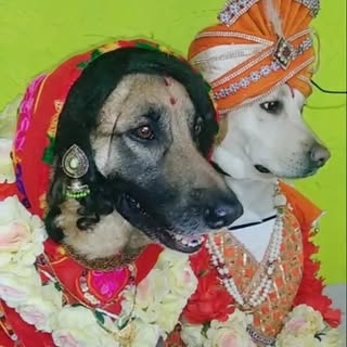 chennai tamil nadu hina da🥰🥰