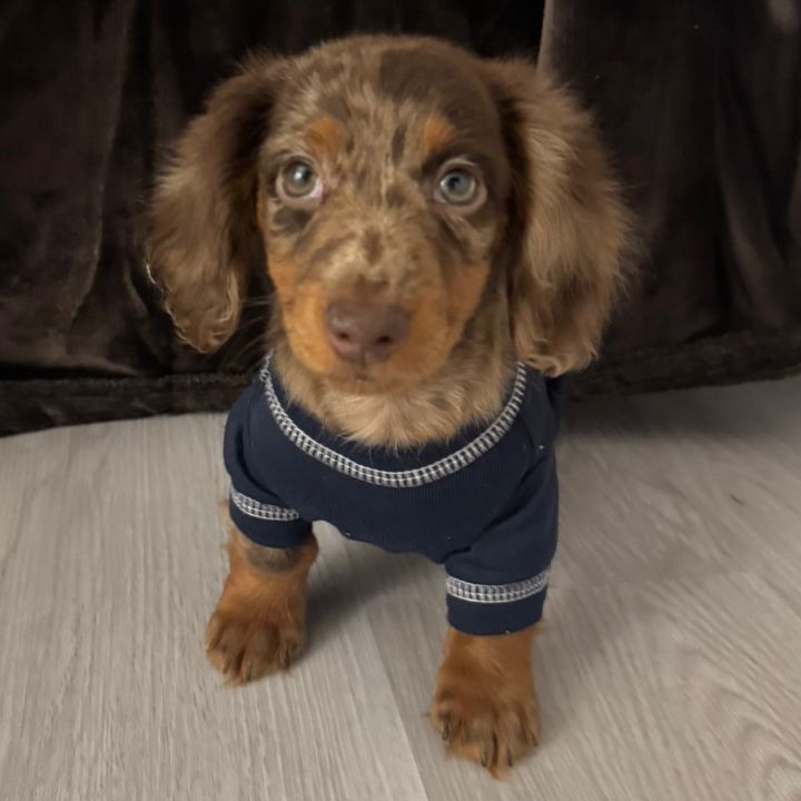 Ralphie Rue