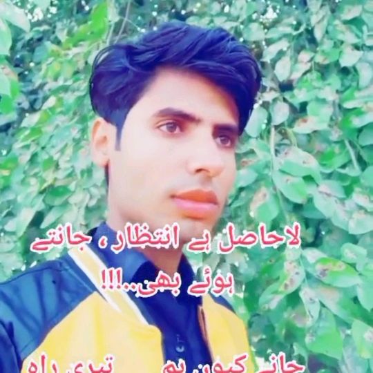 Rashid Roy