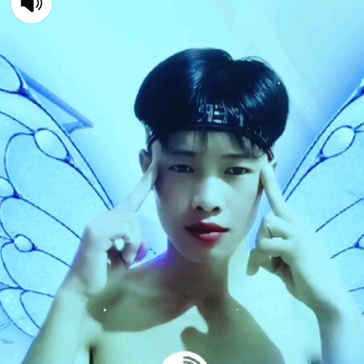 Ly mí tủa mèo vạc
