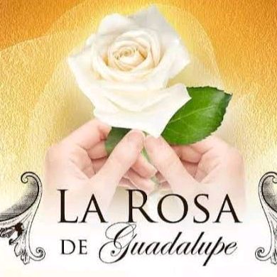 La rosa de guadalúpe