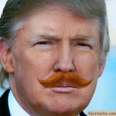 Donald J. Drumpf (Parody)