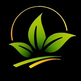 Paz | Inspiración | Bienestar