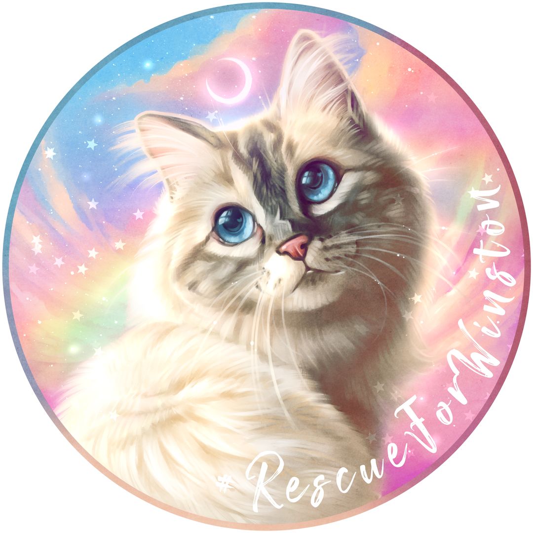 Rescue For Winston
