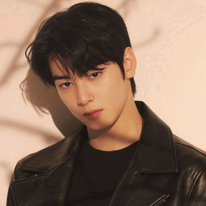 Cha Eunwoo