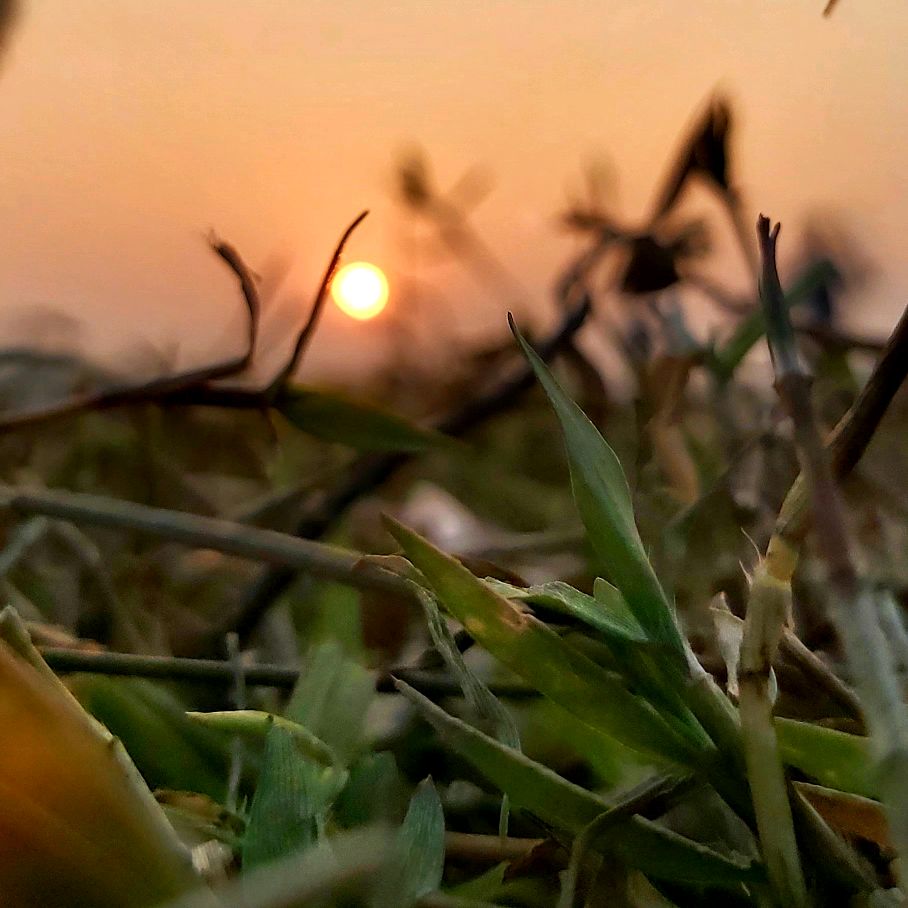 গল্পের শেষ পাতা