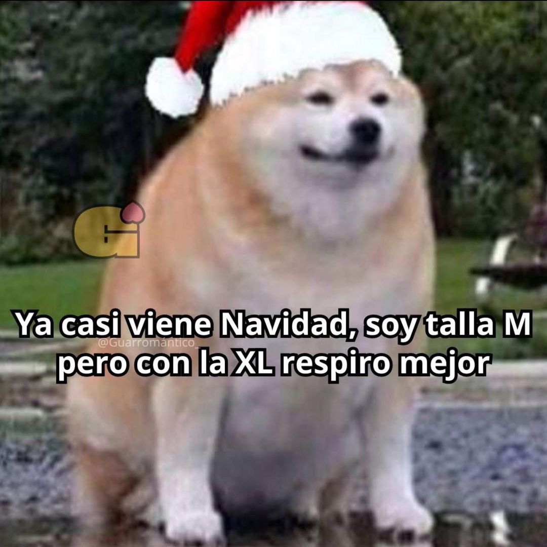 xnow24