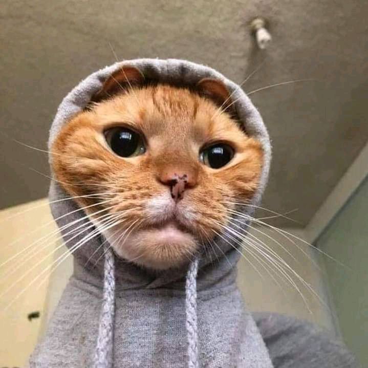 Welcome to Tunisia ❤️