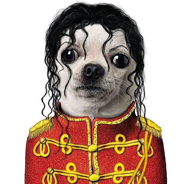 Rodrigo Edits