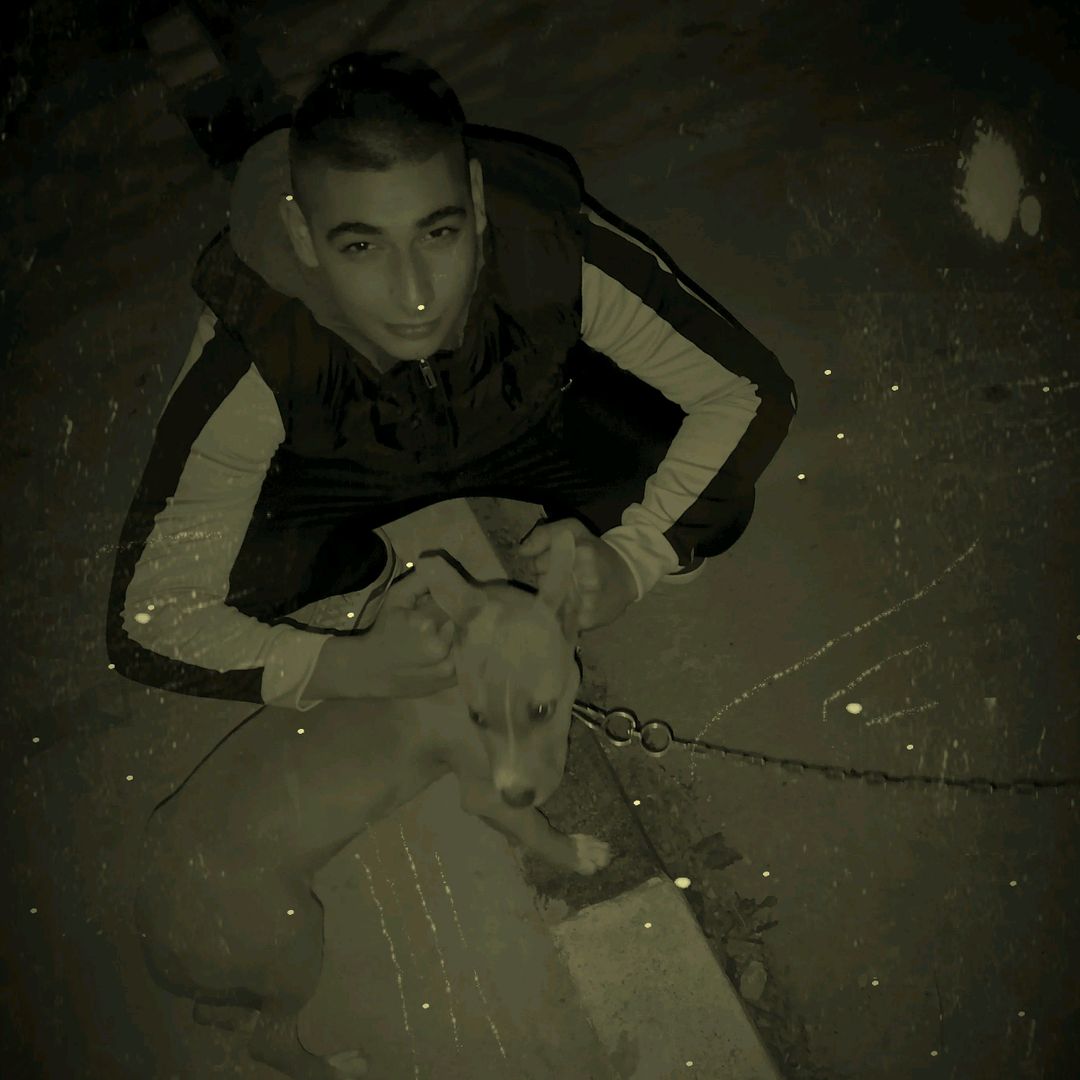 Rosen qnakiev